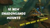 10 NEW Shadowlands Mounts and How to Get Them | FAST and EASY to Obtain!