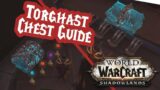 How to open every Torghast locked chest | WoW Shadowlands